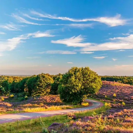 6 Guest 3 Bdr - Cozy Vip - Veluwe Ijsvogel Chalet *