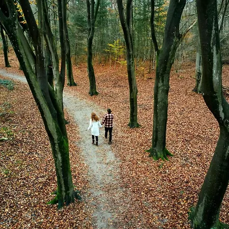 Familiechalet - Veluwe - Zwembad - Gratis Parkeren