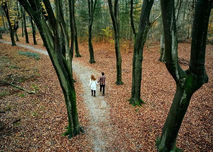 6 Guest 3 Bdr - Cozy Vip - Veluwe Ijsvogel